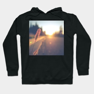 Retro Sunset Street Scene Hoodie